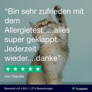Allergietest Plus Katze