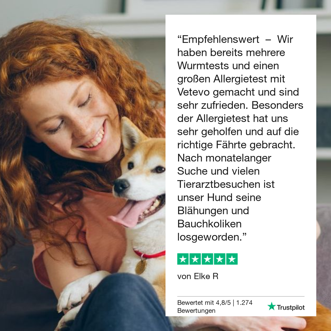 Allergietest Plus Katze