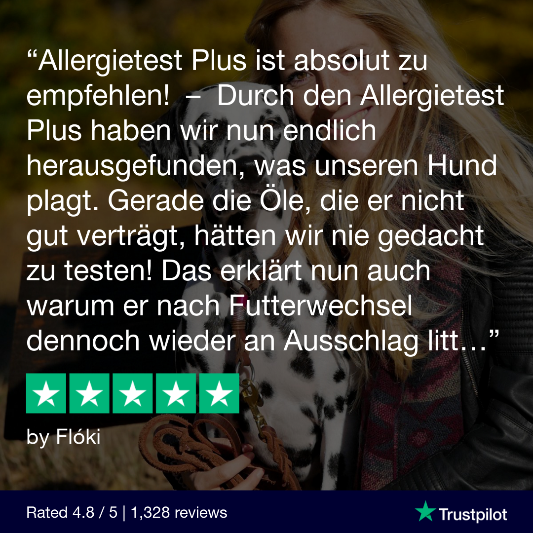 Allergietest Plus Katze