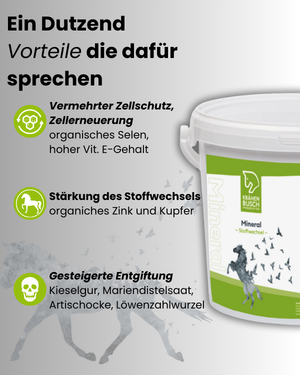 Mineral Stoffwechsel