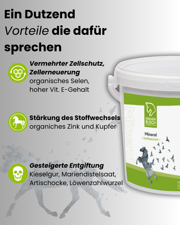 Mineral Stoffwechsel