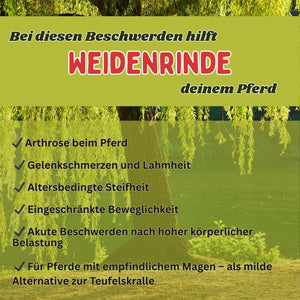 Weidenrinde Pferd geschnitten