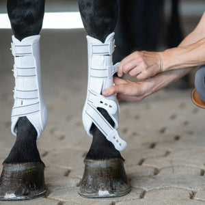 Royal Arbeitsgamaschen Vorderbein