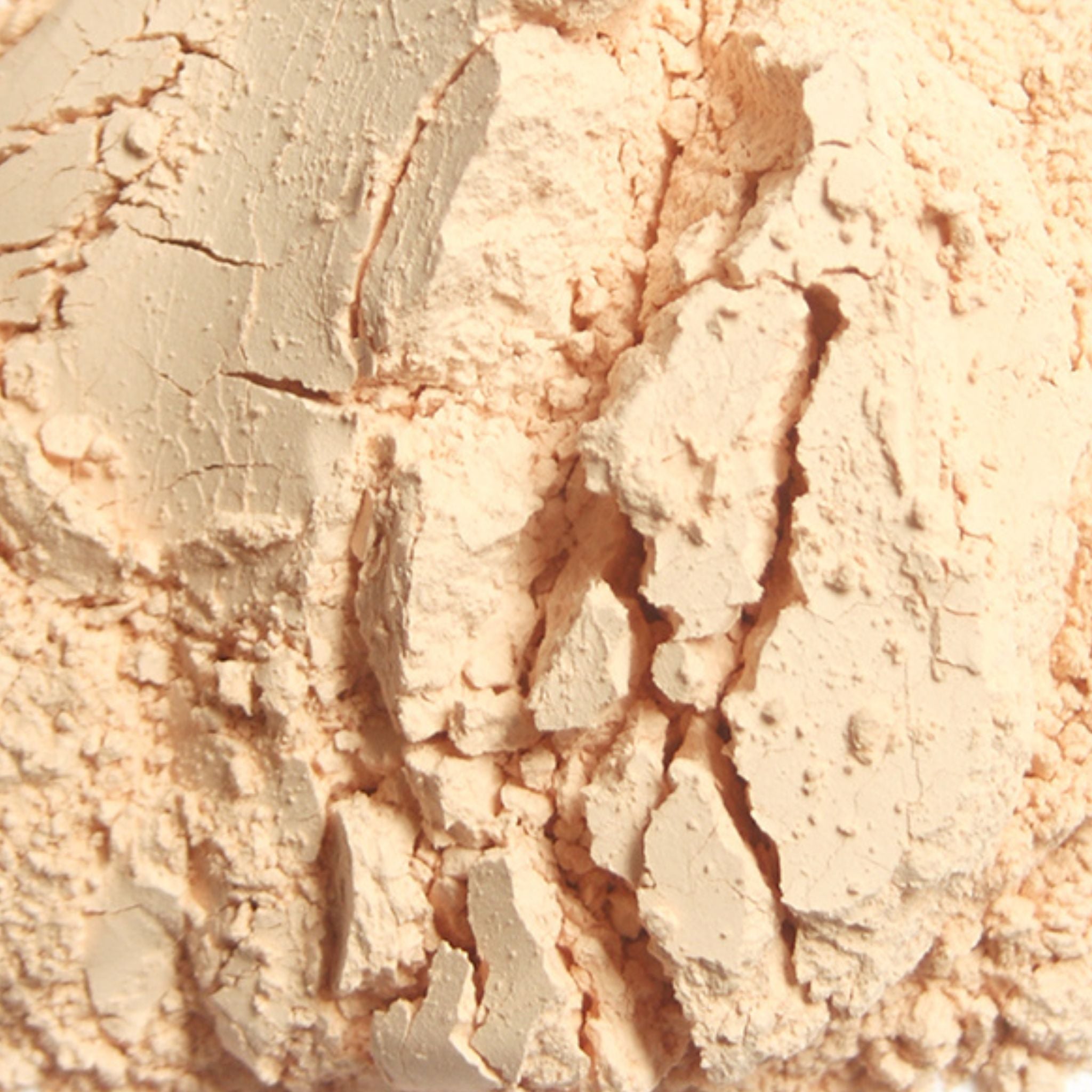 Yucca schidigera Pferd - Pulver für Gelenke, Verdauung und Stoffwechsel