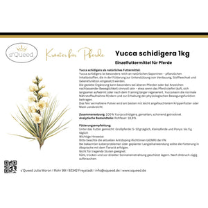 Yucca schidigera Pferd - Pulver für Gelenke, Verdauung und Stoffwechsel
