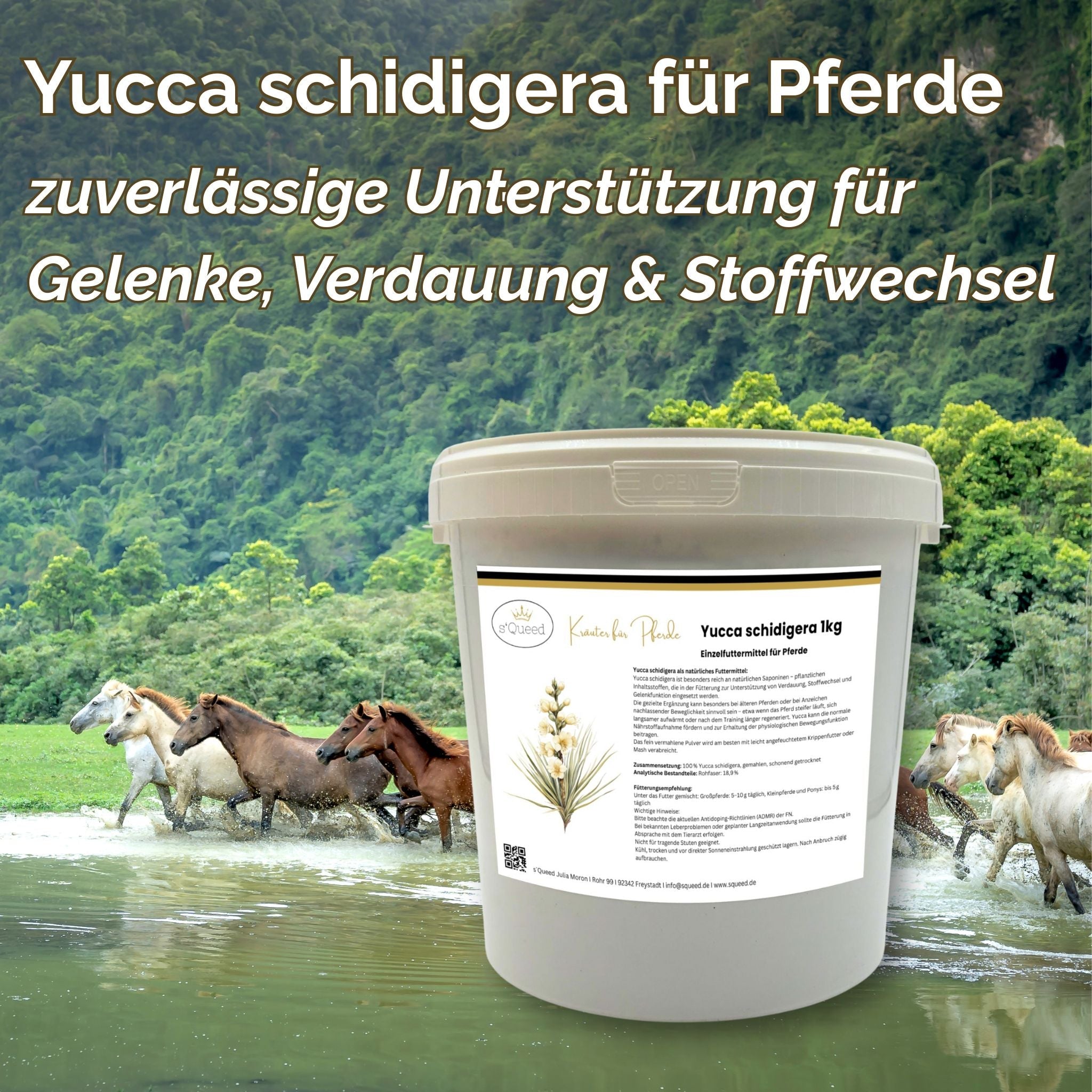 Yucca schidigera Pferd - Pulver für Gelenke, Verdauung und Stoffwechsel