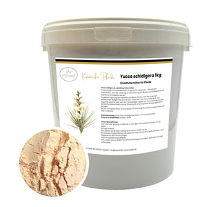 Yucca schidigera Pferd - Pulver für Gelenke, Verdauung und Stoffwechsel