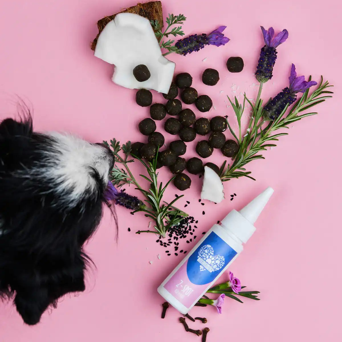 Tierliebhaber Z-Spot