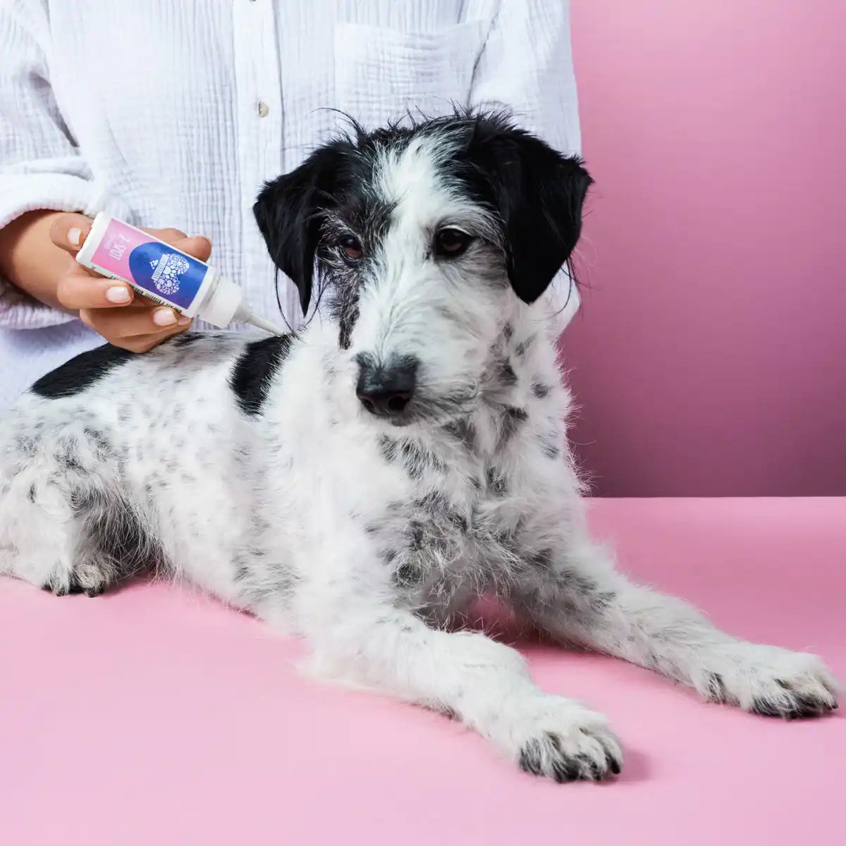 Tierliebhaber Z-Spot