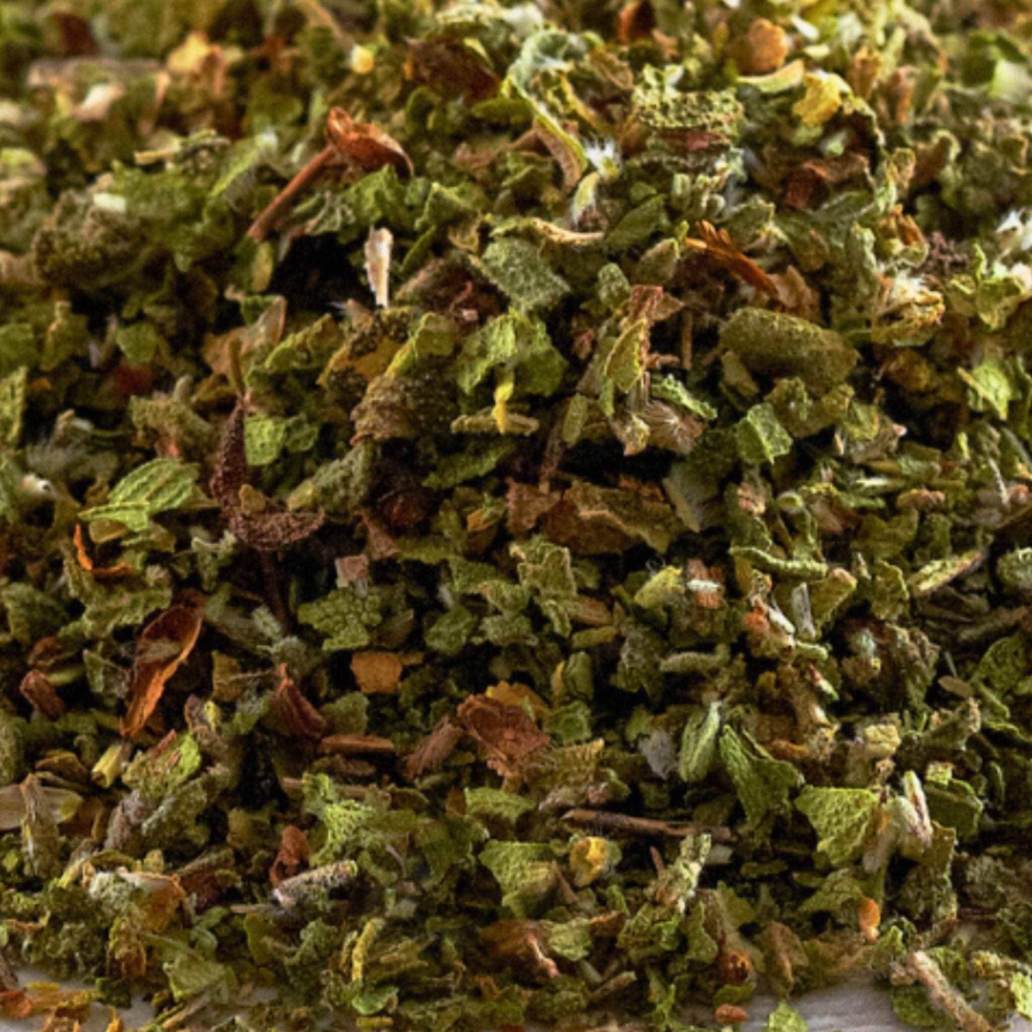 Zistrose Pferd - Immunsystem stärken Pferd