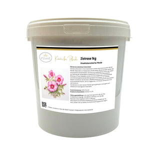 Zistrose Pferd - Immunsystem stärken Pferd