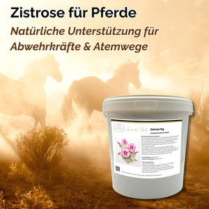 Zistrose Pferd 1kg
