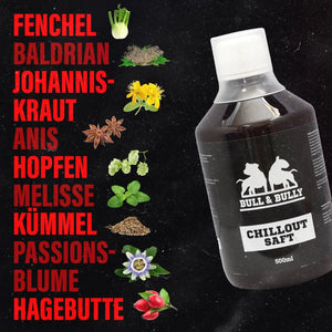 Chillout Saft