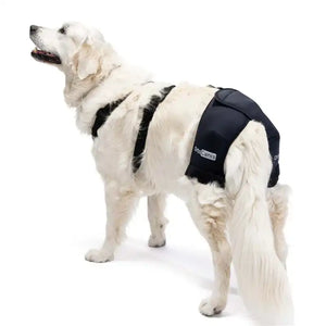Hüftstütze für Hunde