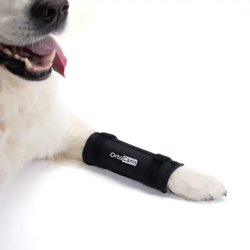 Karpal-Orthese (Knöchelbandage) für Hunde
