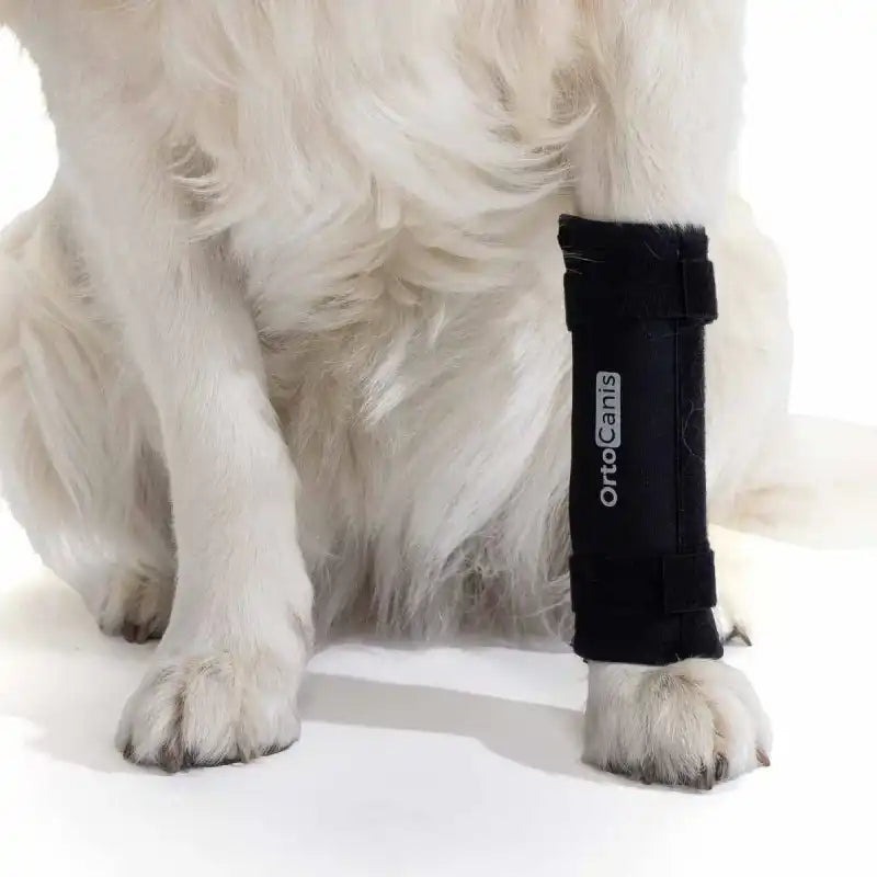 Karpal-Orthese (Knöchelbandage) für Hunde