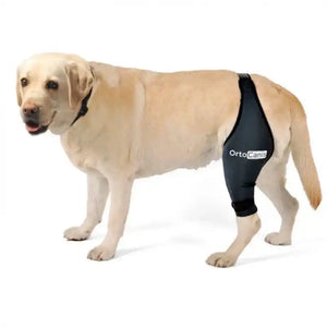 Kniebandage für Hunde - Hinterbein