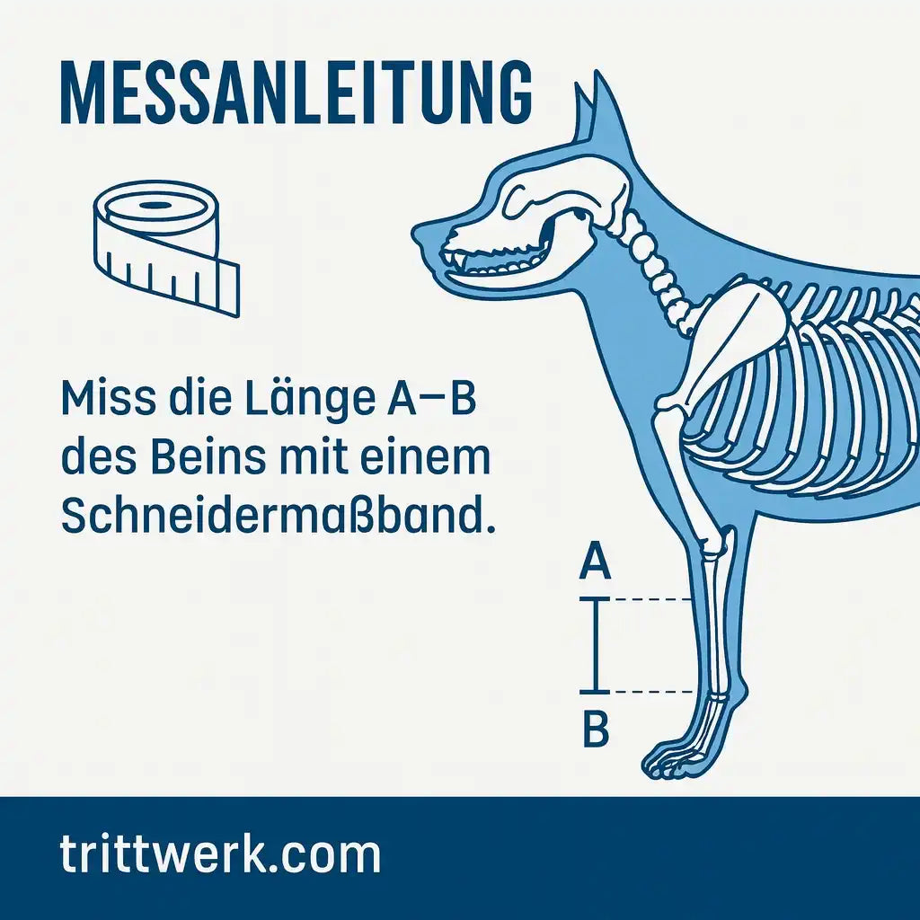 Hunde Kompressionsband für karpus