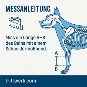 Hunde Kompressionsband für karpus