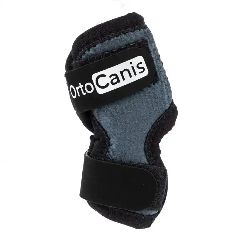 Sprunggelenkbandage für Hunde (Tarsus)