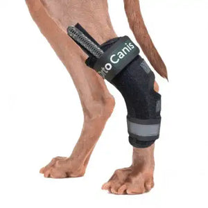 Sprunggelenkbandage mit Schienen für Hunde