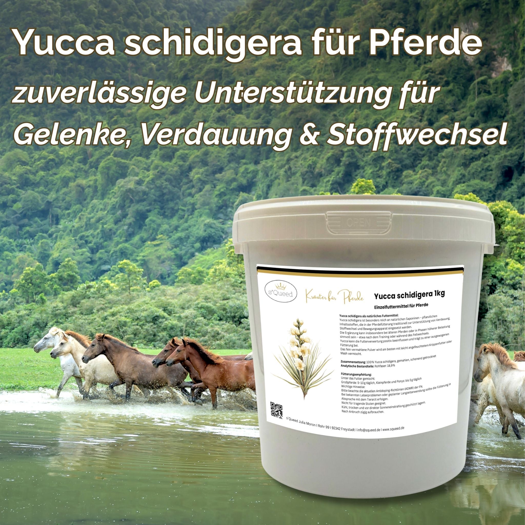 Yucca schidigera Pferd Pulver 1kg