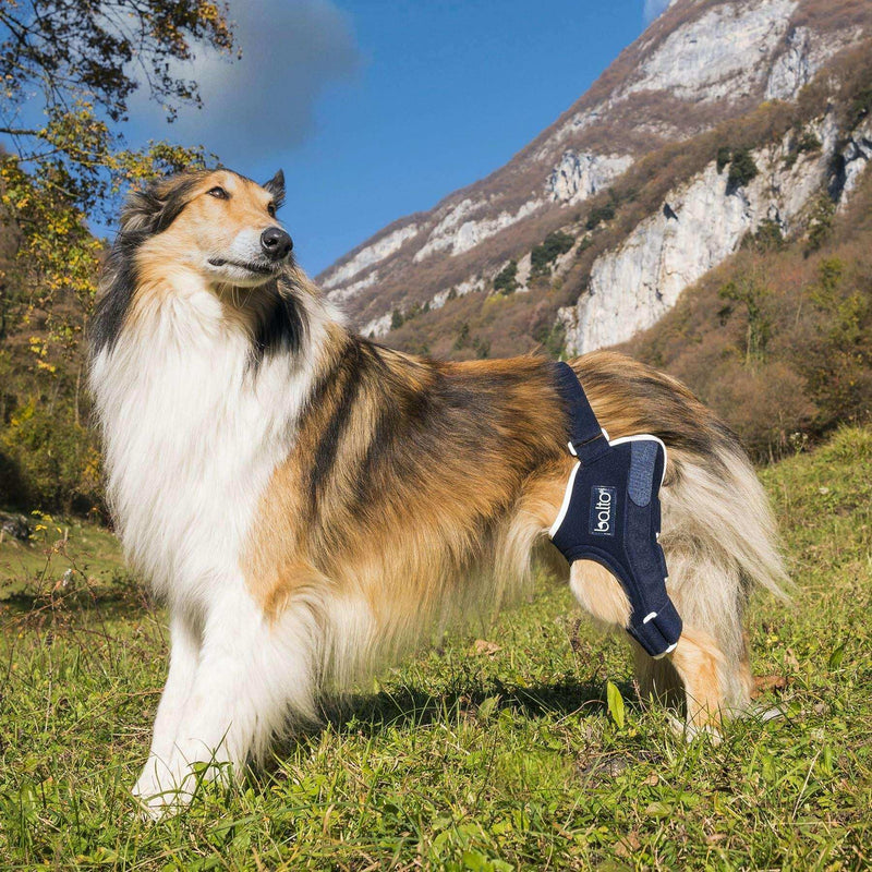Hunde Knieorthese Modell Zoe
